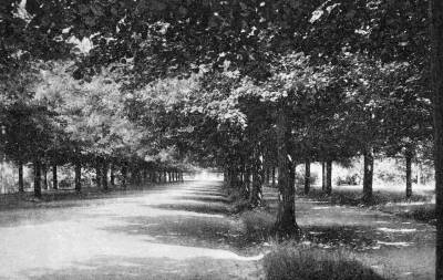 A Gdlli Erzsbet-park, 1930-as vek. Kpeslap, magntulajdon